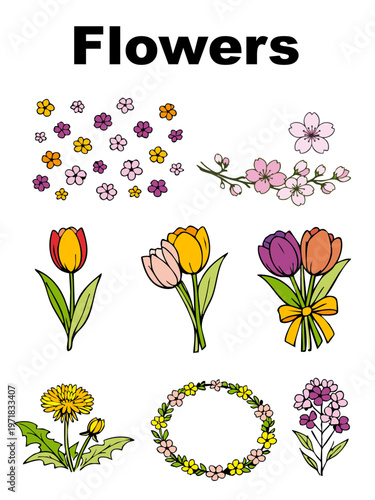 Spring Flower Line Art Set（春の花 線画セット｜桜・チューリップ・たんぽぽ・カラー）