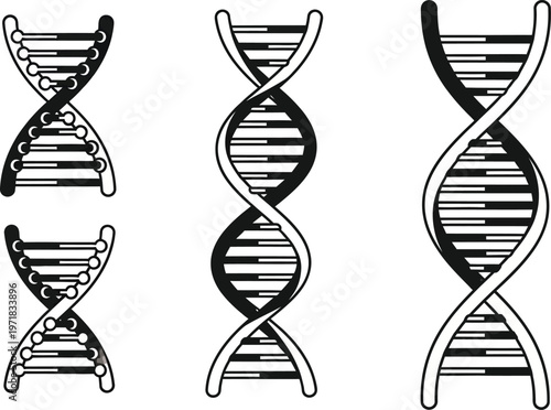 A detailed illustration showcases three distinct representations of the dna double helix structure highlighting its complex form high quality professional modern