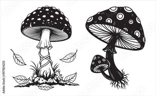 Detailed illustration of amanita muscaria mushrooms in a natural setting with foliage