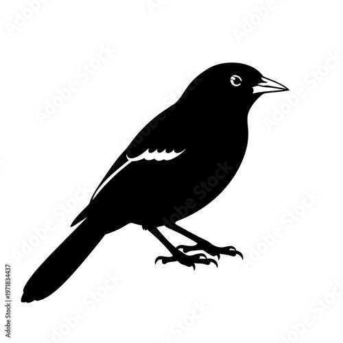 Monochrome Bird Silhouette: A minimalist silhouette of a bird, poised elegantly with its slender beak and wings, epitomizes nature's understated grace and simplicity.