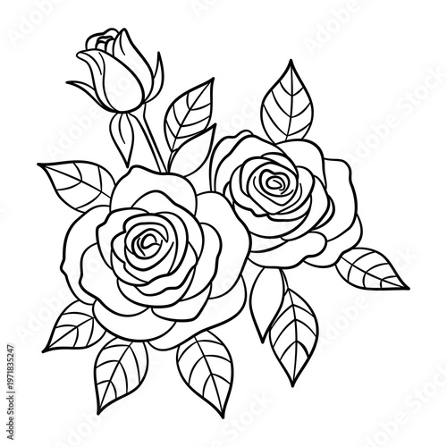 Ręcznie rysowany bukiet róż, line art, wektorowa kolorowanka z kwiatami