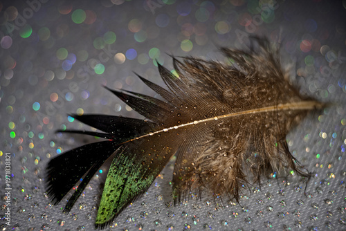 The abstract concept of a simple subject