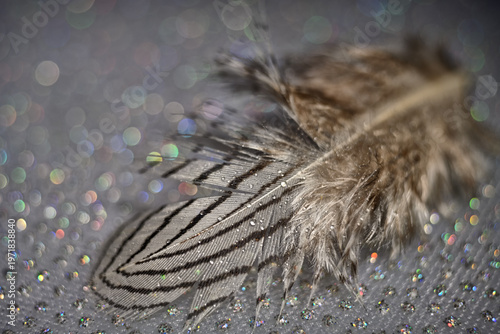 The abstract concept of a simple subject