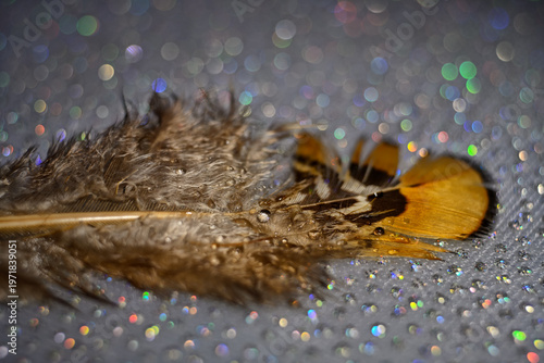 The abstract concept of a simple subject