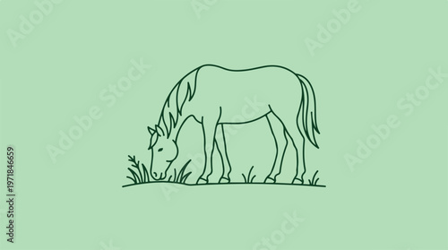 Horse Eating Green Grass Outdoors.
