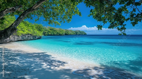 Beautiful Tropical Beach Paradise with Crystal Clear Turquoise Water and Lush Greenery.