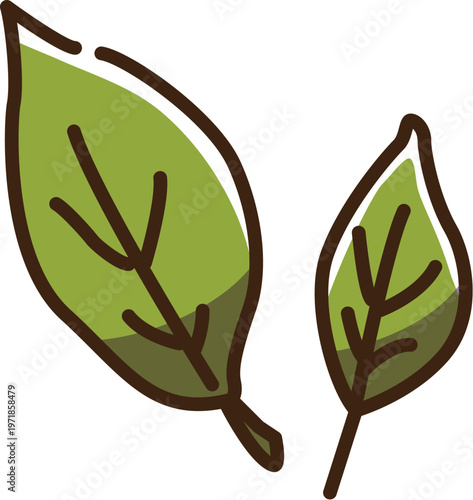 茶葉　生　カラー