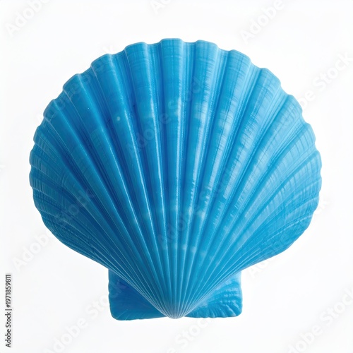 Close-up of a blue decorative seashell a marine-themed souvenir with a fluted design perfect for coastal decor and summer crafts