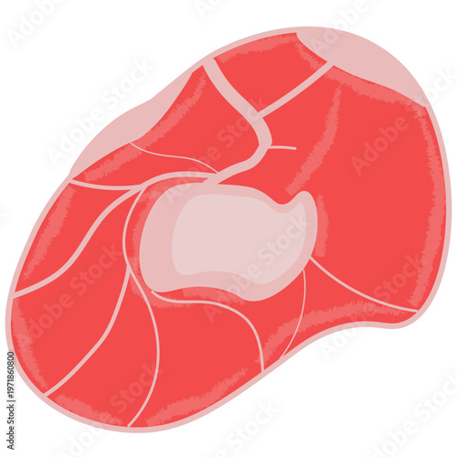 illustration of raw meat icon
