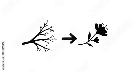 A bare tree branch transforms into a blooming flower and leaves indicated by an arrow, symbolizing growth and change.