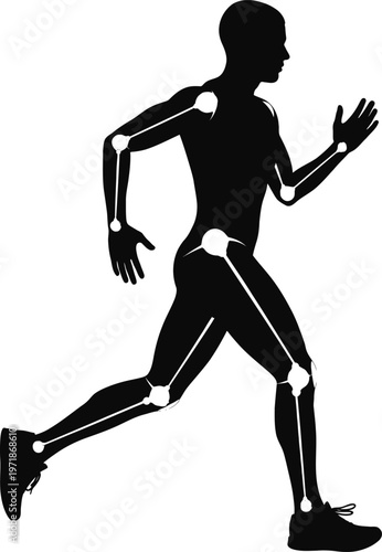 Anatomical illustration of a person mid-stride while running Vector