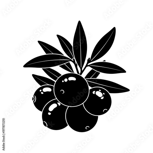 Elegant Berries: A stylized monochrome silhouette of ripe berries, each plump and gleaming, clustered together with verdant leaves. Simple lines define their shapes and forms.