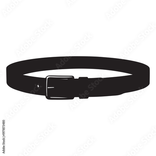 A black belt with a silver buckle
