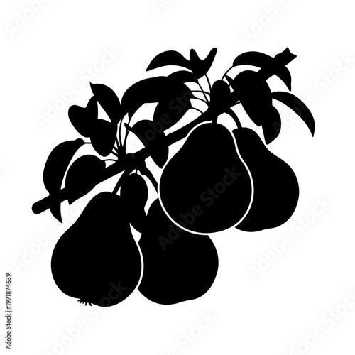 Pear Silhouette on Branch: An elegant silhouette of ripe pears hanging gracefully from a leafy branch, evoking a sense of harvest and natural abundance.