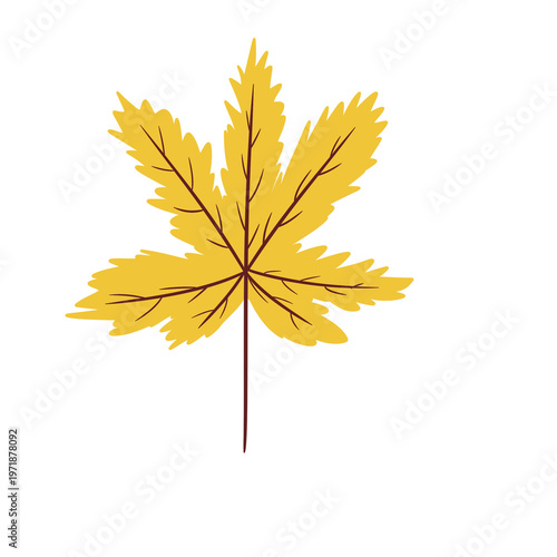 Detailed Yellow Maple Leaf Illustration – Autumn Fall Botanical Seasonal Leaf