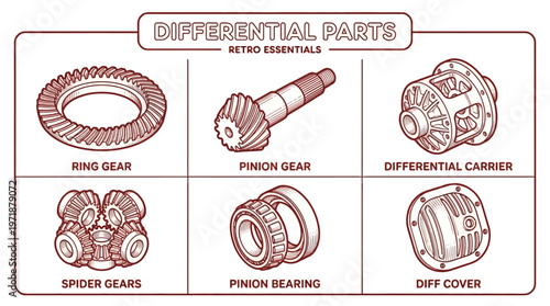 An infographic illustration shows differential parts including ring gear, pinion gear, and differential carrier on a white background.
