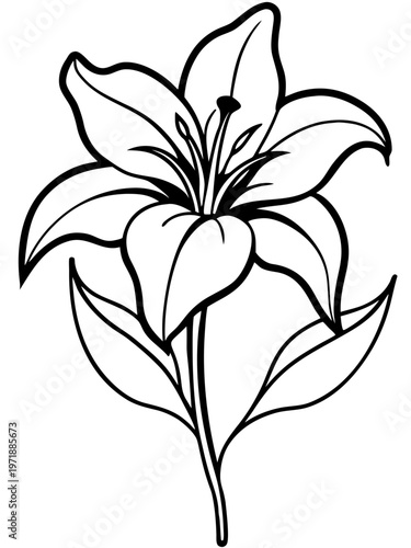Elegant black and white line art lily flower illustration for design