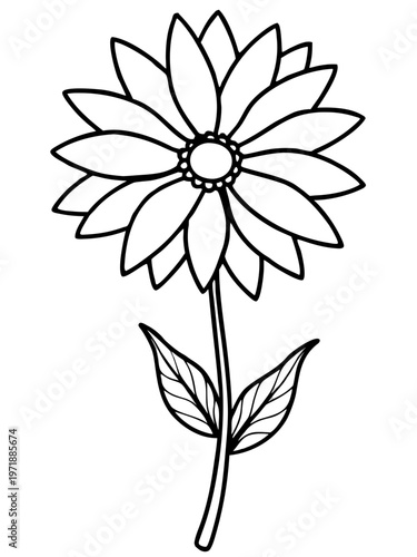 Hand-drawn black and white daisy flower line art illustration isolated