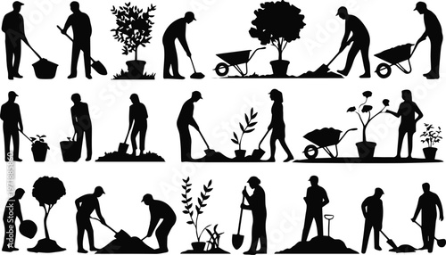 People planting seedlings and propagating plants