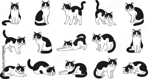 A collection of monochrome cats in various poses are displayed against a plain white background showcasing their diverse appearances high quality professional detailed