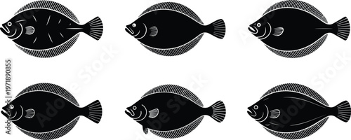 Set of Minimalist black flounder flatfish silhouette vector icon