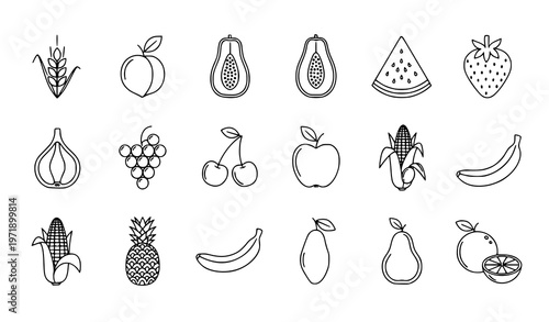 Minimal monoline ripe fruit icons set with wheat peach watermelon grape and organic food