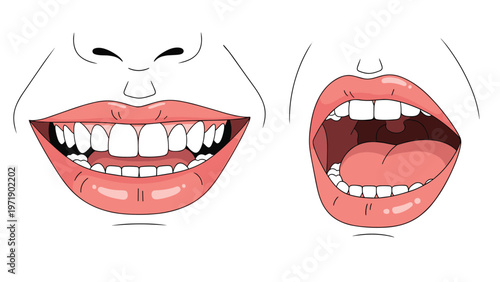 Two views of a human mouth showing a healthy smile with white teeth and an open mouth for a medical dental examination.