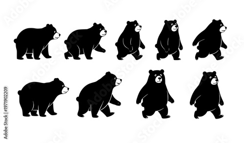 Cartoon black bear walking poses vector set with playful animal character movements isolated on white background