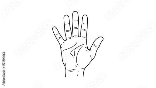 Simple black and white line drawing of a human palm with fingers spread wide showing the palm lines and details against a white background.