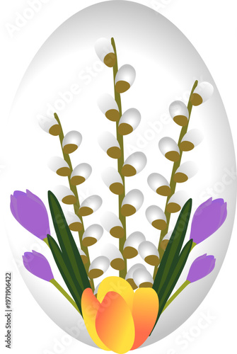 Easter egg shape with pussy willow branches, purple crocuses and orange tulip on transparent background. Spring floral vector for holiday design