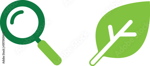 Scientific exploration of biological entities, using a magnifying tool for detailed inspection of nature's intricacies, like observing an amoeba under microscope