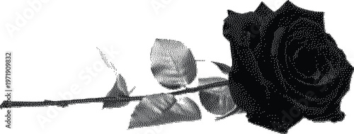 Black Halftone Rose Flower Illustration Vintage Style Vector .