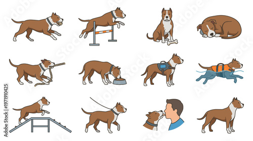Pitbull dog agility training and behavior flat vector illustration set featuring pet jumping hurdles swimming wearing service vest eating walking on leash and licking face.