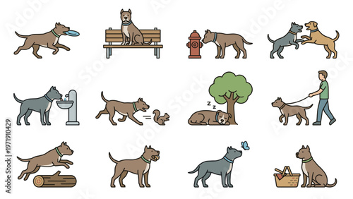 Pitbull dog daily life and outdoor activities colored flat vector illustration set featuring pet walking playing in park chasing squirrel drinking sleeping and owner.