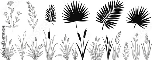 Collection of tropical leaves and grass plant silhouettes including palm fronds reeds and botanical elements isolated vector set for nature design