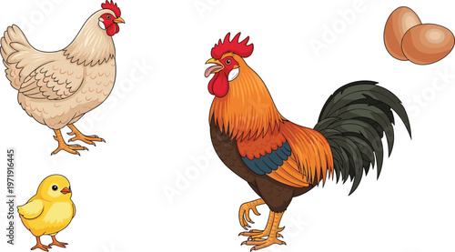 Chicken and Rooster Set with Hen, Chick, and Eggs in Farm Animal Illustration Style for Poultry Design, Agriculture Collection, and Rural Life Theme