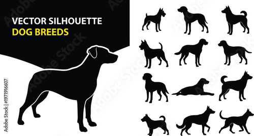 Dog breed silhouette collection with various canine poses isolated on white background, animal vector set for pet, logo, and design use