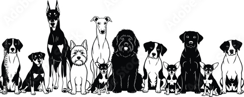 Minimalist black and white illustration of diverse dog breeds lineup, cute pets sitting together, vector animal collection isolated on clean background