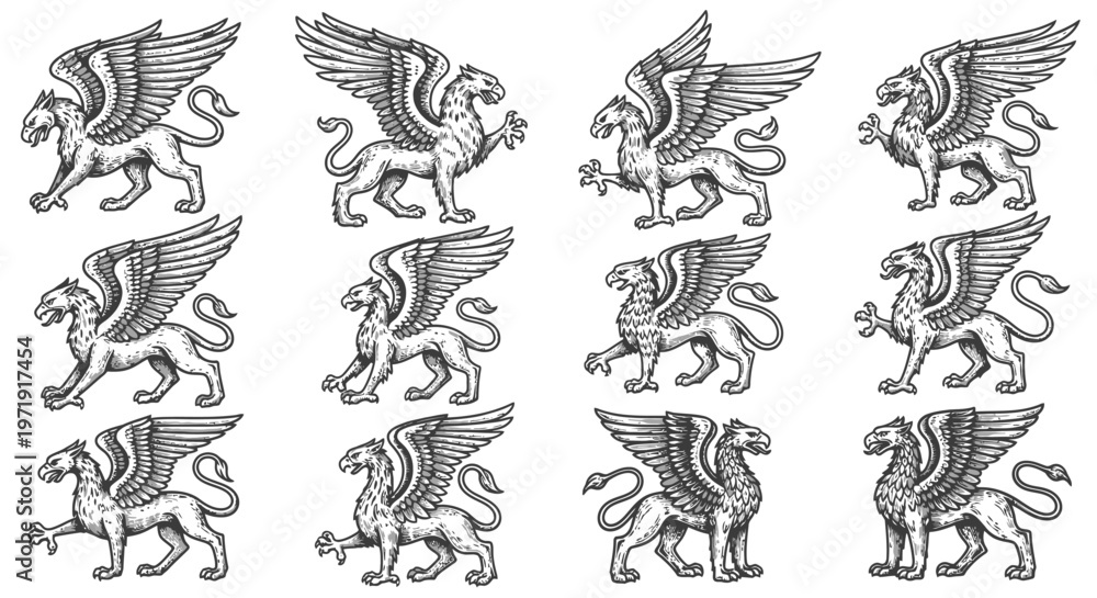Fototapeta premium Mythical Griffin Creature Collection: Vintage Heraldic Style Illustrations