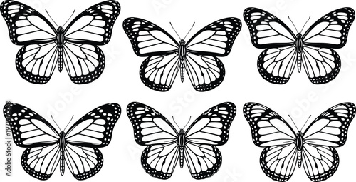 Set of detailed butterfly illustrations in black and white, symmetrical wing patterns, nature insect vector collection isolated on white background