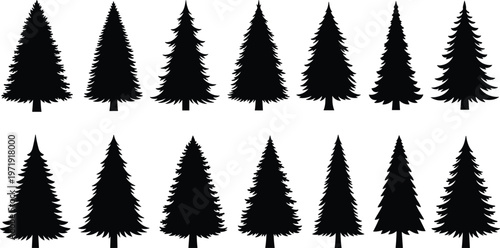 Set of pine tree silhouettes, evergreen forest collection, black conifer icons isolated, winter nature landscape elements for design and decoration