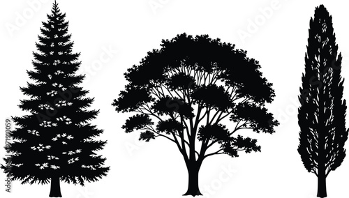Set of tree silhouettes including pine, deciduous and cypress, detailed nature elements, black vector illustration isolated on white background