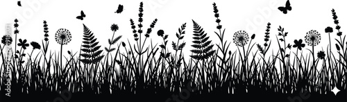 Silhouette of meadow grasses, wildflowers, ferns, and butterflies in natural landscape design for creative artwork, decoration, and illustration projects