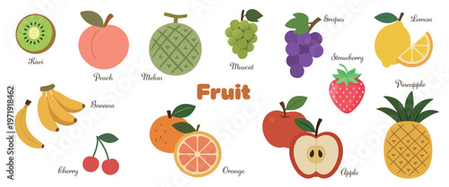 Simple Fruit Illustration Set