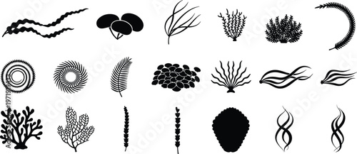 Collection of seaweed and algae silhouettes various marine plant shapes isolated black vector set for ocean, underwater and decorative design