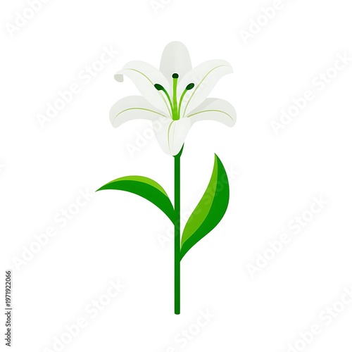 A vibrant white lily flower, symbolizing purity, beauty, and peace, with lush green leaves and stem on a clean white background, perfect for celebratory or memorial occasions