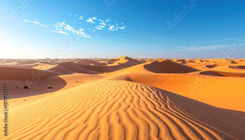 Golden expanse beneath a boundless sky