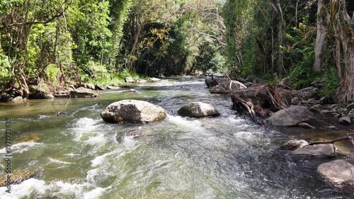 Freshwater Creek Flowing Through Tropical Rainforest Near Cairns, Queensland, Australia