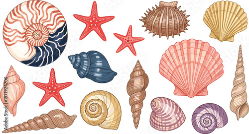 Sea Shell Collection with Starfish, Spiral Shells, and Ocean Elements in Detailed Illustration Style for Marine Design, Beach Decoration, and Coastal Theme Set
