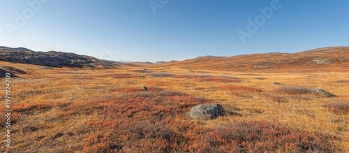 Autumn Tundra Landscape, Vast Valley